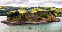 Dunedin Farewell--4