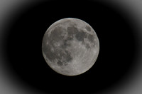 _DSC4460