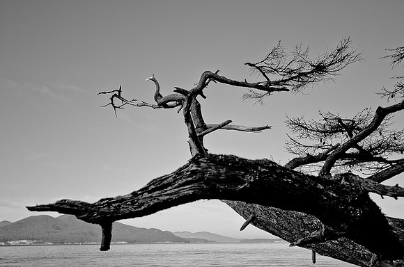 _DSC4170