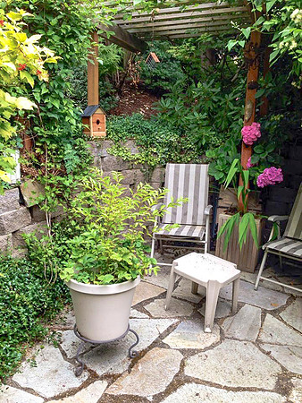 04-01 SDZ Garden Yard JPEGs-1176