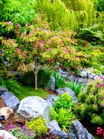 04-01 SDZ Garden Yard JPEGs-0190