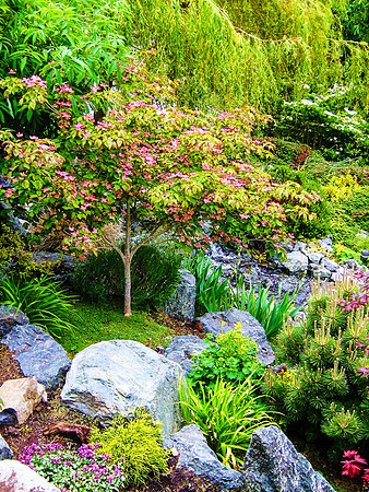04-01 SDZ Garden Yard JPEGs-0190