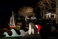 11-27-13  Marine Heights Nighttime Xmas Display JPEGs--7