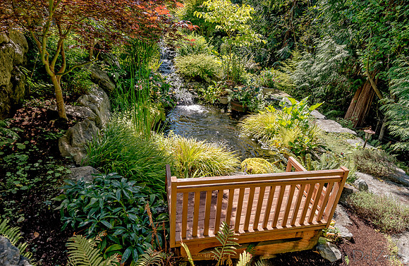 08-17 Shadra Garden 2015 TIFFs--44