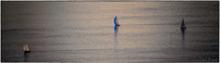 08-25-2012 Northern Century Sailboat Race-11