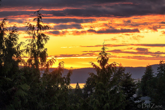 05-16 Pink Sunset TIFFs-