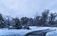 Backyard Early Morning Snow Scenes 02-12-2021