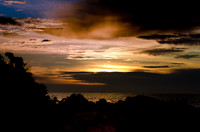 _DSC5524