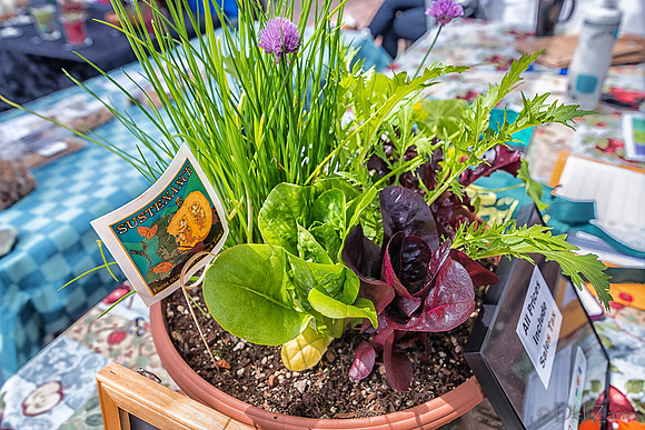 Farmers' Market 2--65