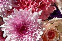 05-03 Macro All 28-300mm D600 Bouquet--4