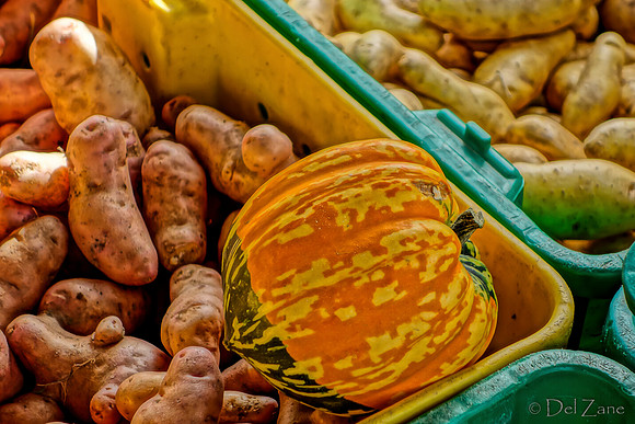 10-05 Farmers' Market--79