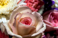 05-03 Macro All 28-300mm D600 Bouquet--2