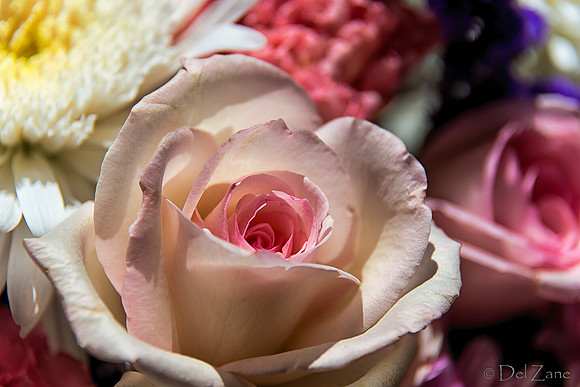 05-03 Macro All 28-300mm D600 Bouquet--2
