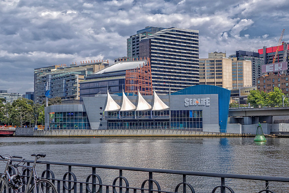 Melbourne Yarra Riverwalk--19