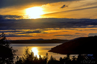 Springtime Blue Streak Golden Sunset
