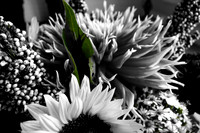 09-19 Colorized Bouquet Bokeh-0307