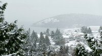 12-20 Snowy Day-0593