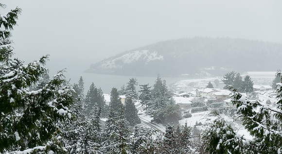 12-20 Snowy Day-0593