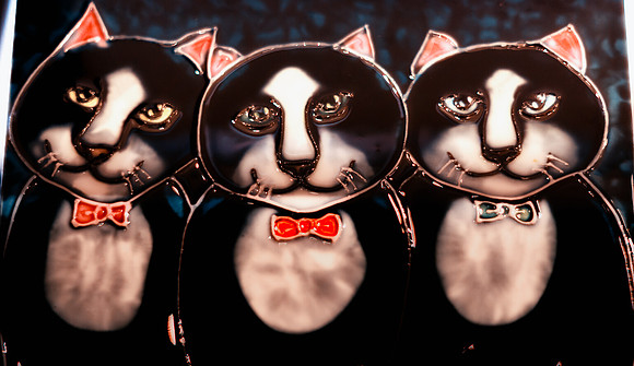 Pike Place Market Cats-12
