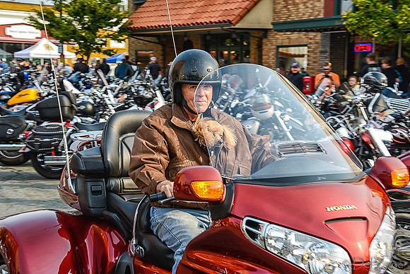 09-23 Oyster Run-22
