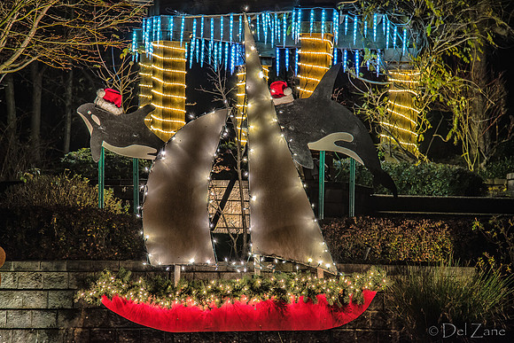 12-13 MH Night Xmas Display-3