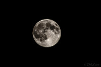 07-11 Super Moon Tiffs--6