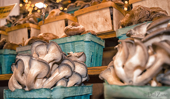 11-17 Indoor Farmers Market-211