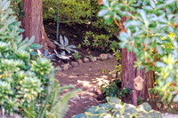 08-17 Shadra Garden 2015 TIFFs--10