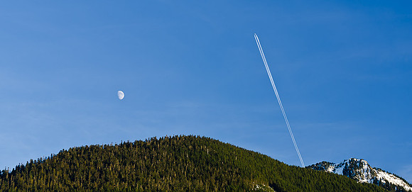 _DSC5118