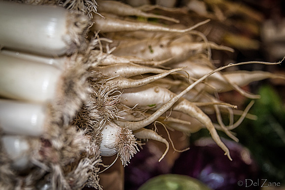 11-17 Indoor Farmers Market-82