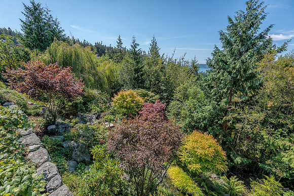 08-17 Shadra Garden 2015 TIFFs--47
