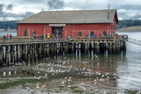 03-02 Coupeville-5