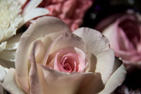 05-03 Macro All 28-300mm D600 Bouquet-2-2