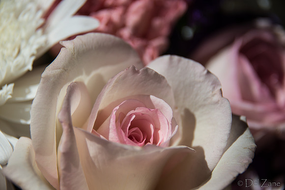05-03 Macro All 28-300mm D600 Bouquet-2-2