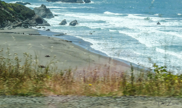 SDZ Trip Pix--41