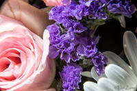 05-03 Macro All 28-300mm D600 Bouquet--12