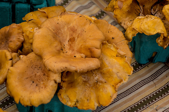 10-05 Farmers' Market--67