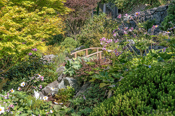 08-17 Shadra Garden 2015 TIFFs--26