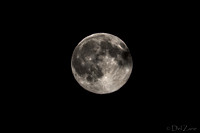 07-11 Super Moon Tiffs--10