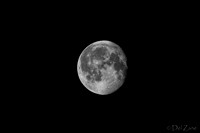 03-29 Early Morning Moon-4