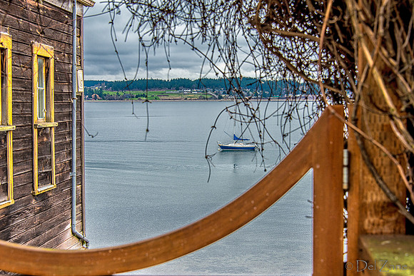03-02 Coupeville-32