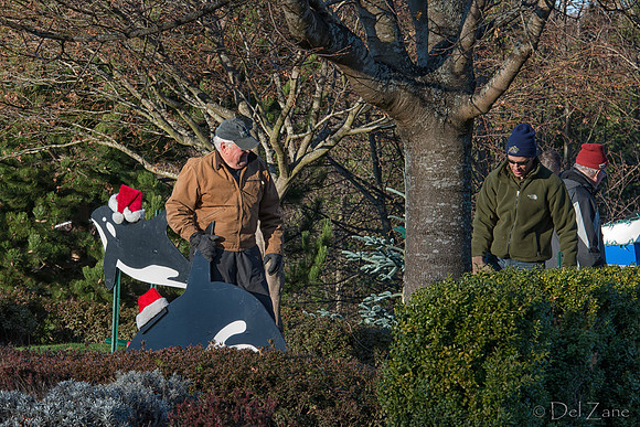 11-30 MH Xmas Display Setup Team--23