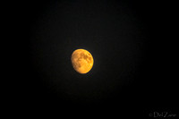 Smokey Moon