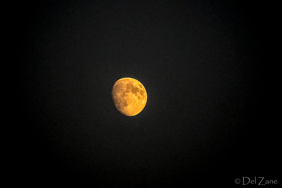 08-03 Smokey Moon TIFFs-