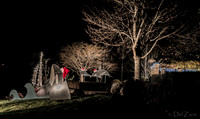 11-27-13  Marine Heights Night Xmas Display--15