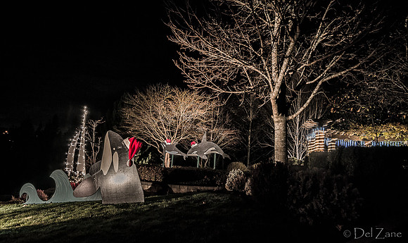 11-27-13  Marine Heights Night Xmas Display--15