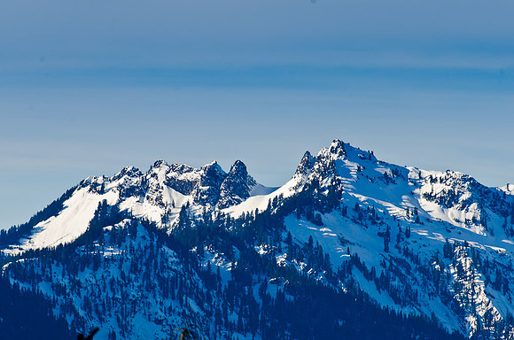 _DSC4933