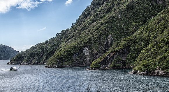 Fiords--18