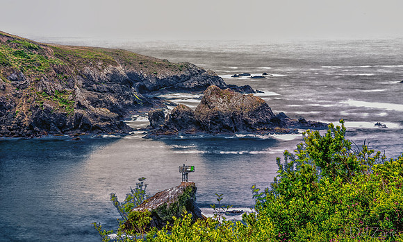 Albion River--14