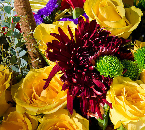 _DSC4583